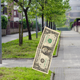 Image for article titled Dollar Dangling From Fishing Line Sure Does Look Enticing